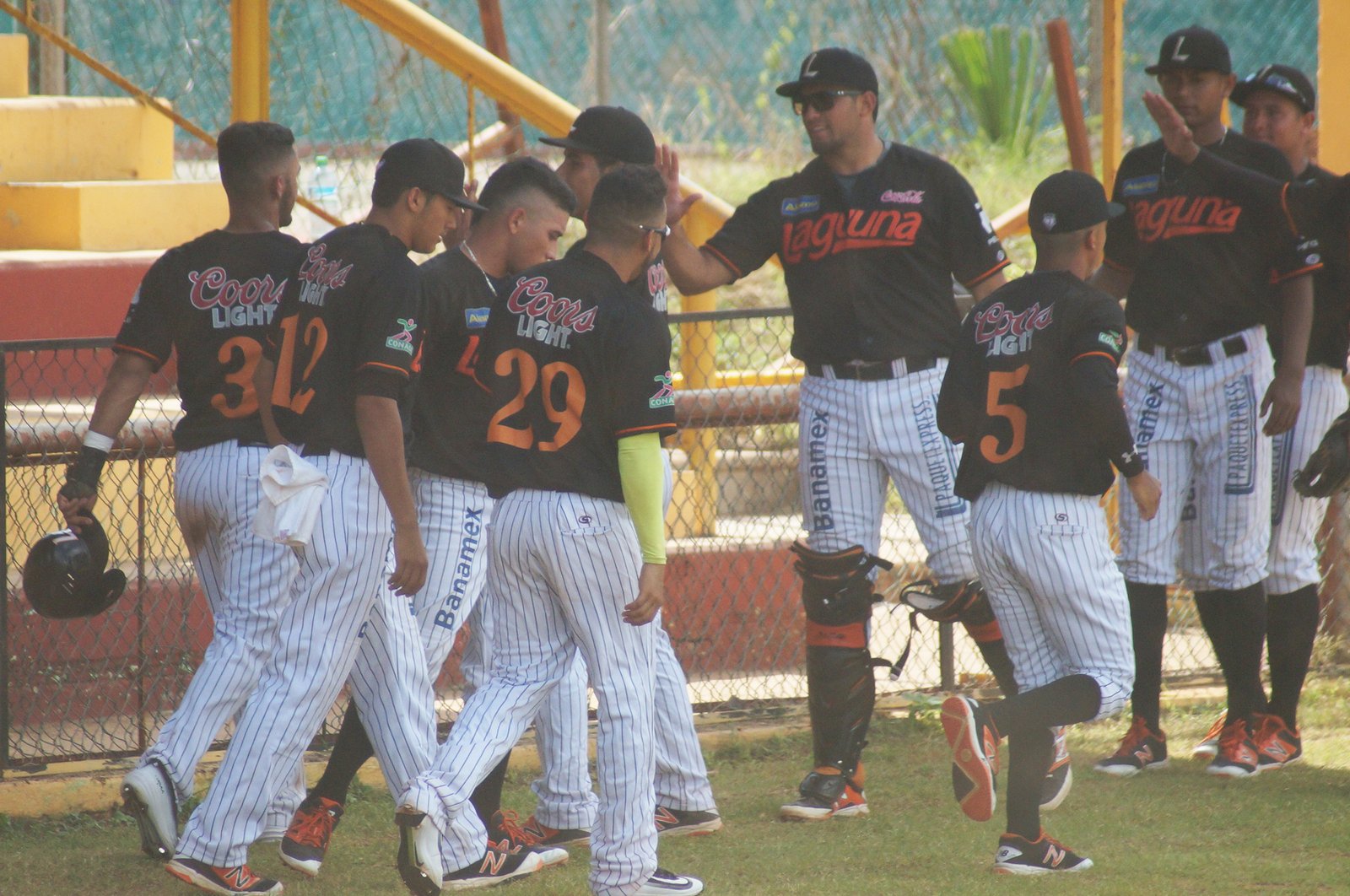 Leones debuta con éxito en la Liga Peninsular