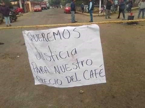 La cruda realidad de los  productores cafetaleros