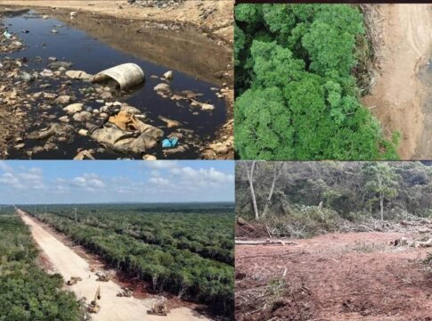 ¡Qué desastre les heredaremos a nuestros descendientes!