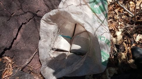 Destruyen Guardia Nacional y Ejército Mexicano campamento clandestino en zona montañosa