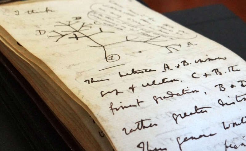 Devuelven cuadernos de Charles Darwin tras dos décadas de estar perdidos