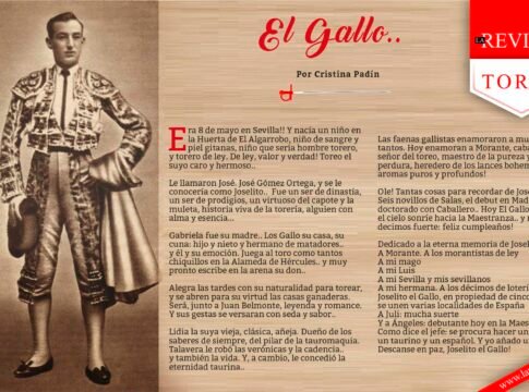 El Gallo..