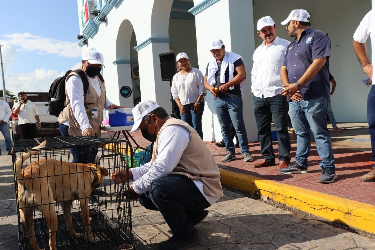 Campaña de vacunación antirrábica en Progreso