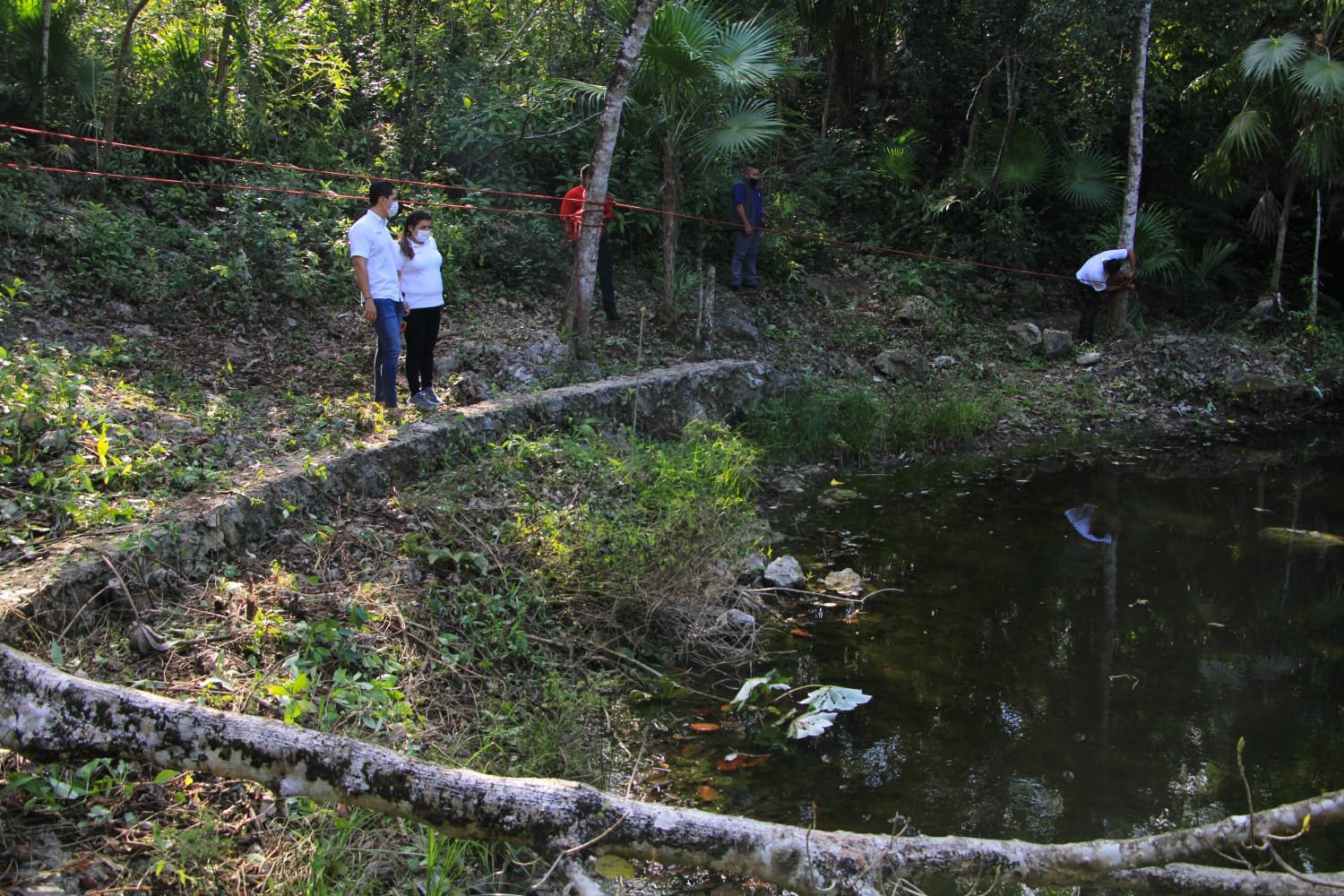Realiza gobierno de B.J. conservación permanente de cenotes urbanos