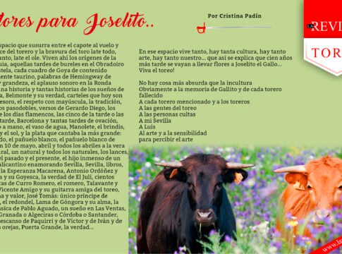 Flores para Joselito..