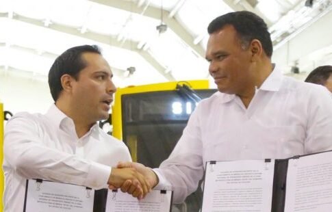 La transición y el pavimento de flores