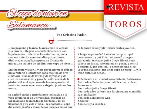 El copo de nieve en Salamanca..