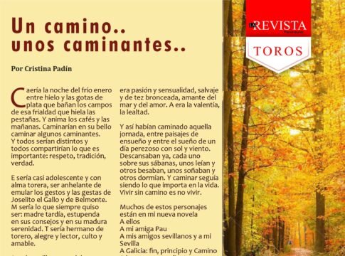 Un camino... unos caminantes...