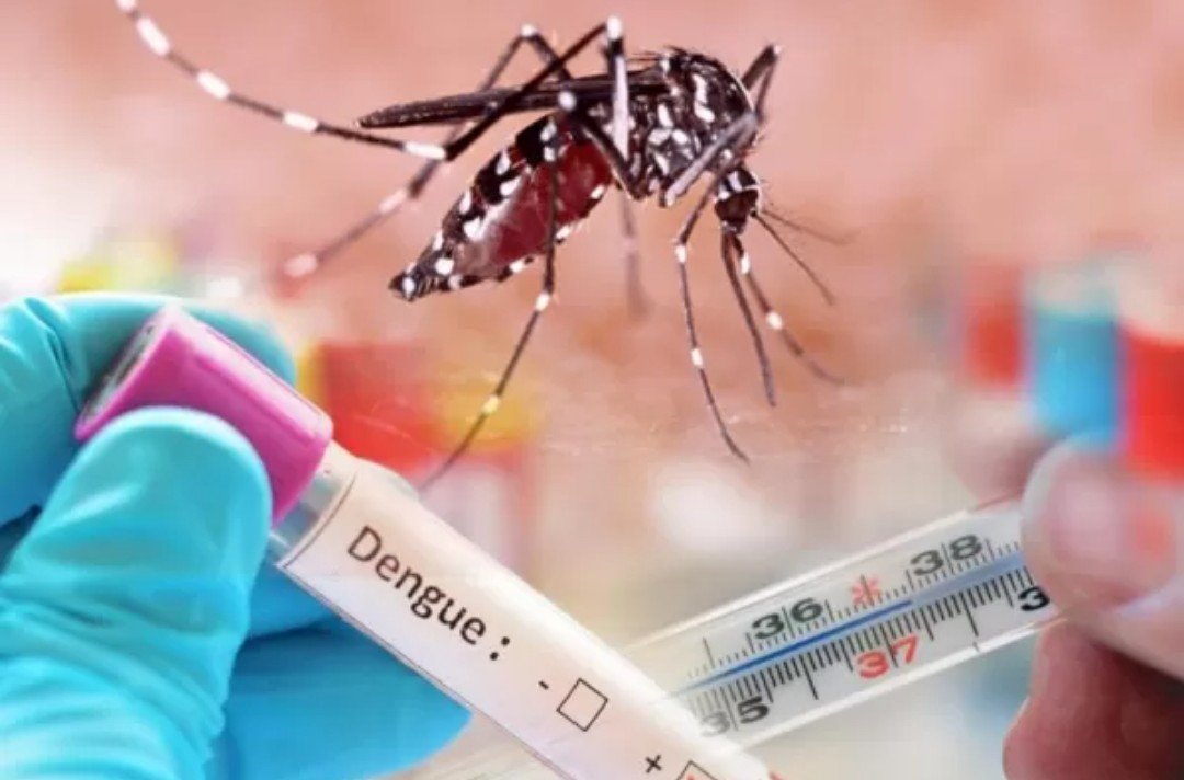 Yucatán en alerta: Segundo lugar en casos de dengue en 2023 a nivel nacional