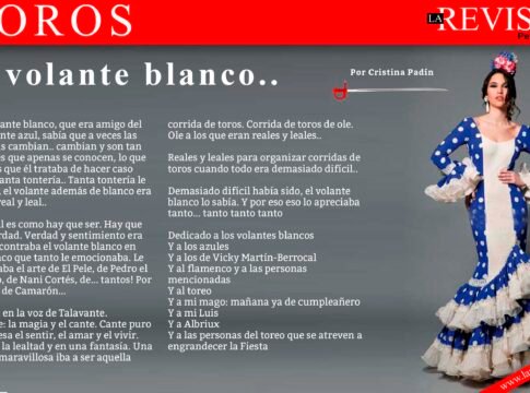 El volante blanco..