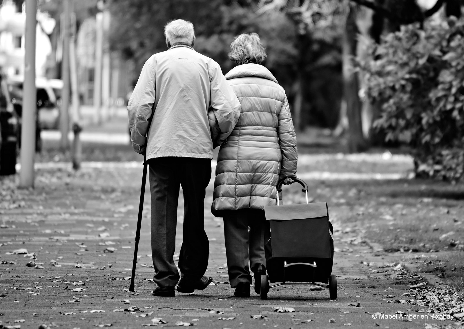 La pareja XV: Cuando el amor se acaba