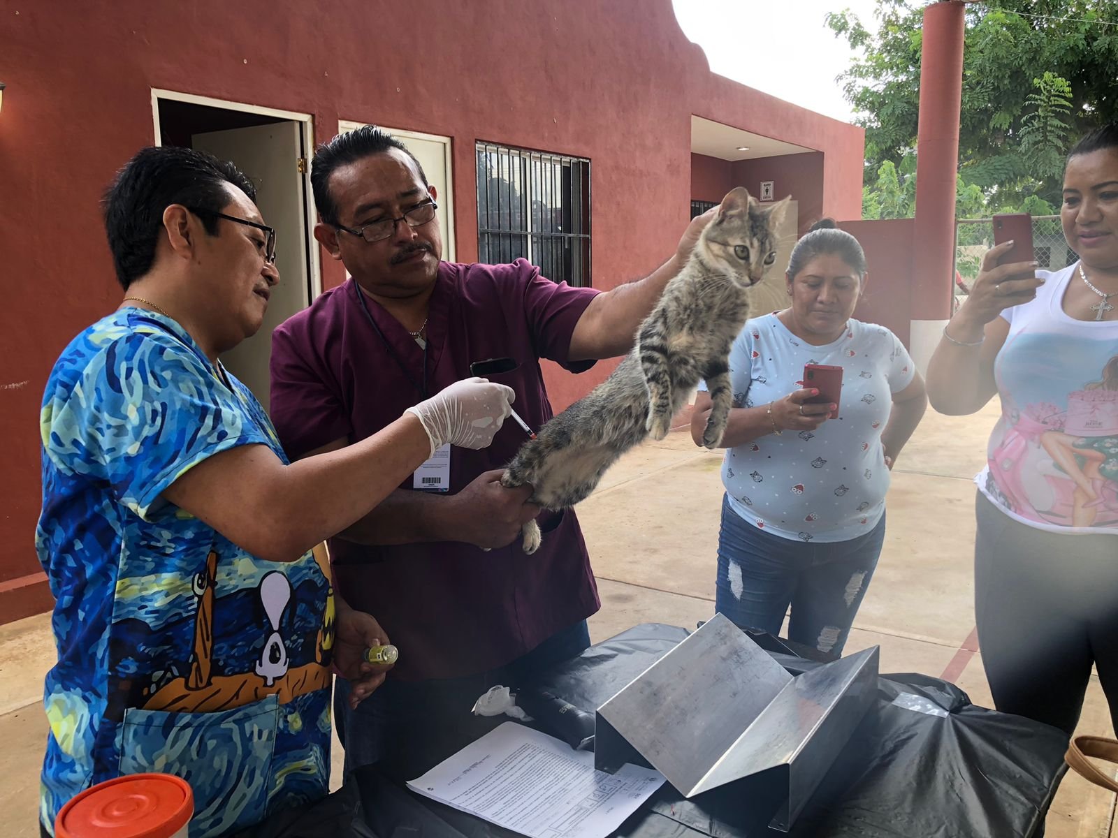 Campaña de esterilización de perros y gatos en Oxkutzcab