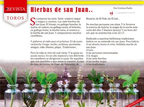 Hierbas de san Juan..