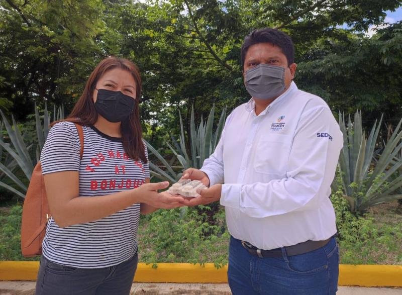 Respaldo del Gobernador Mauricio Vila Dosal llega a cada vez más apicultores para mejorar la calidad y su producción de miel