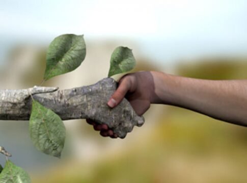 Algo más que palabras