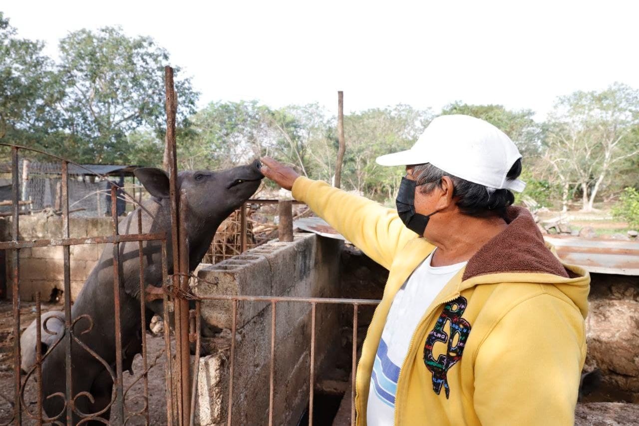Con “Circulo 47”, el Alcalde Renán Barrera impulsa el desarrollo integral y solidario de las y los productores de las comisarías de Mérida