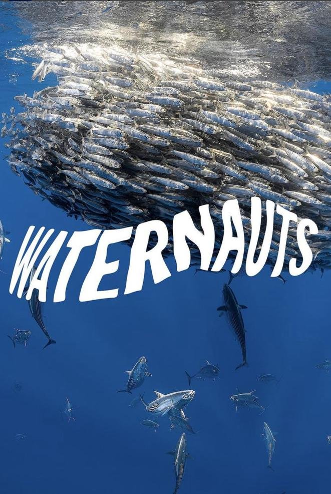 Waternauts Dive Center: Un Oasis Subacuático en Yucatán