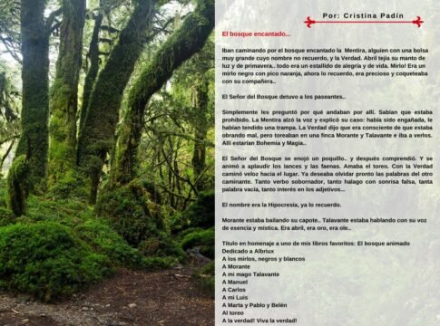 El bosque encantado..