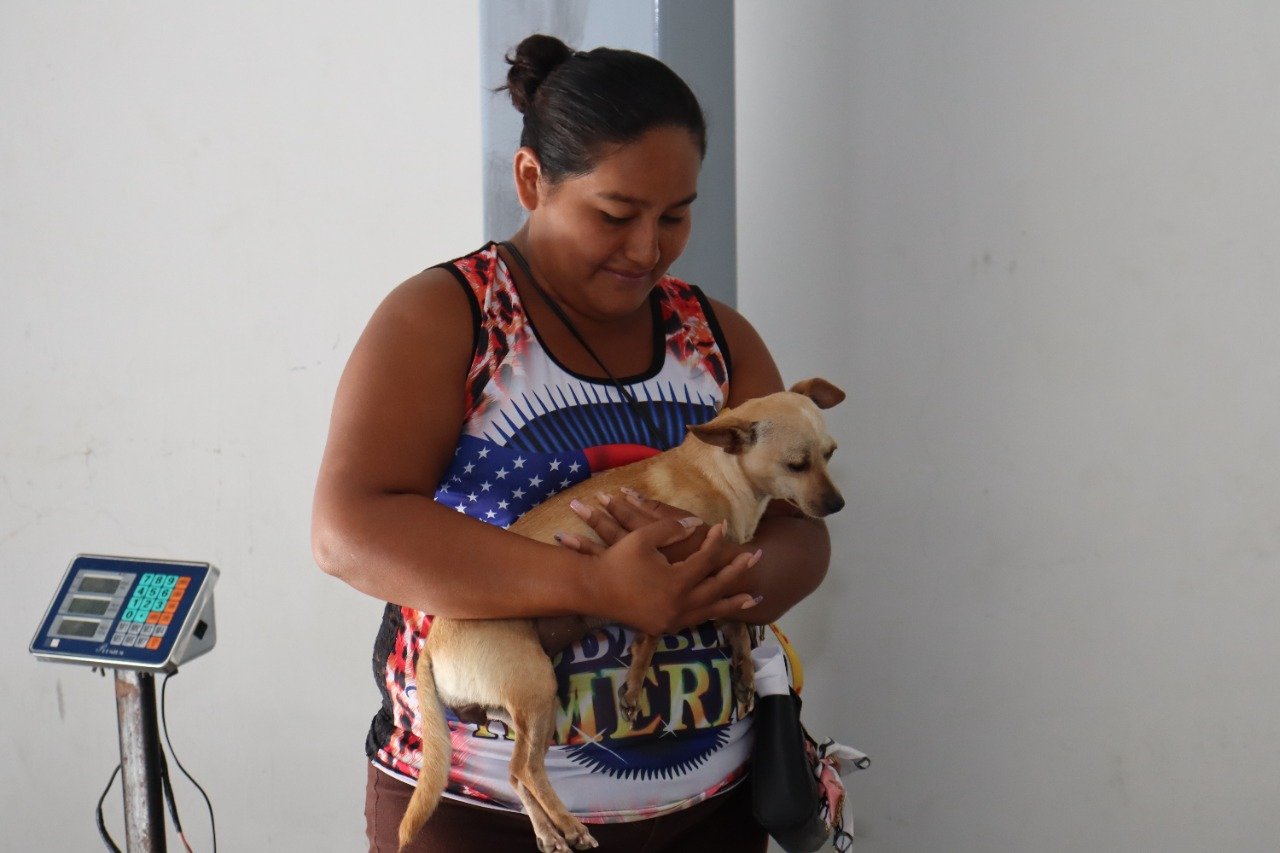 Zacarías Curi fortalece el cuidado de mascotas con nueva Jornada de esterilización