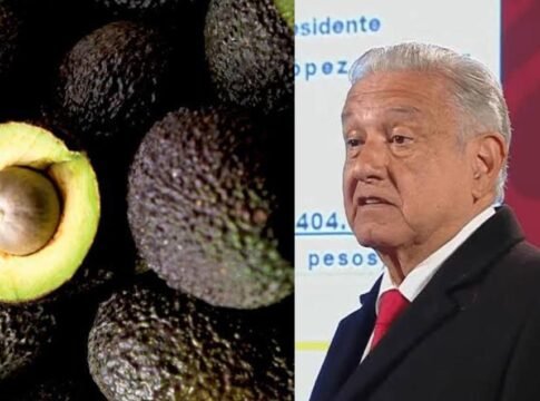 El diálogo y no la politiquería salvó al mercado estadounidense del aguacate