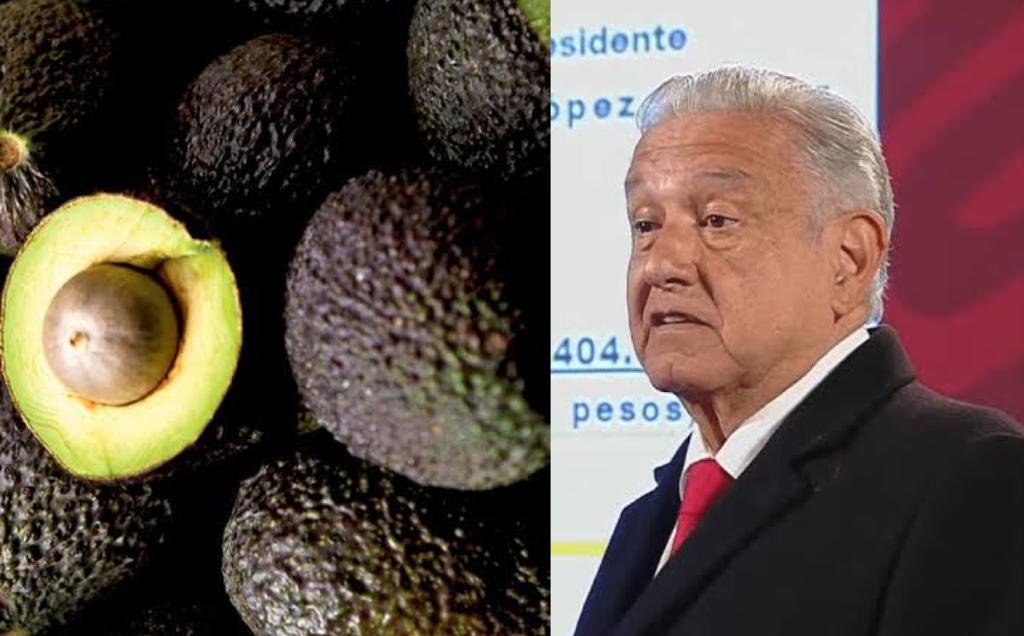 El diálogo y no la politiquería salvó al mercado estadounidense del aguacate