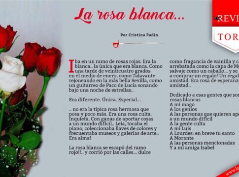La rosa blanca..