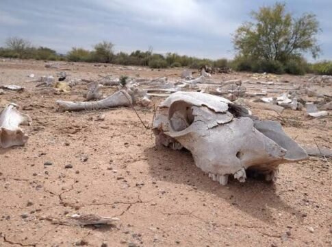 Ignoramos advertencias porque olvidamos que “20 años no es nada”