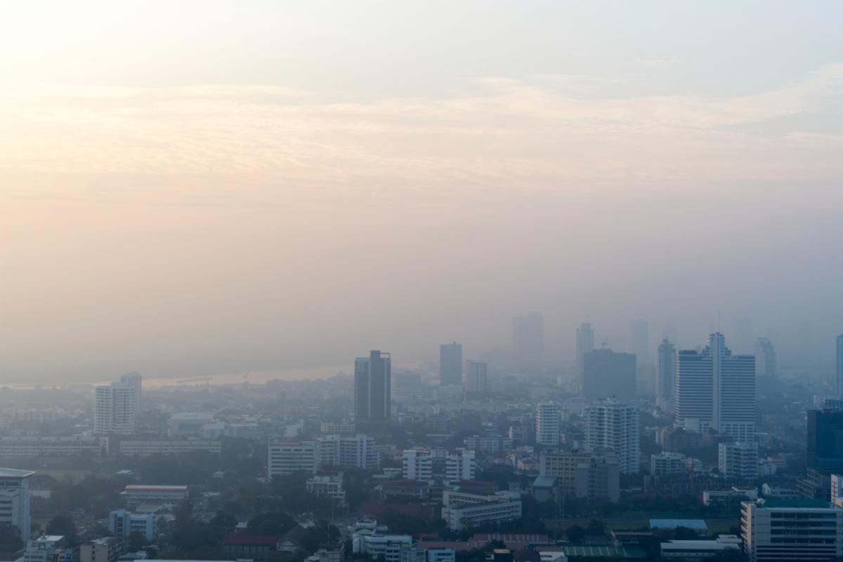 Gobiernos estatales muestran avances frente al cambio climático a días de empezar cumbre climática mundial en Dubai