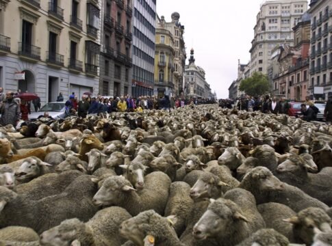 Los hipócritas y borregos no están en Estrasburgo sino en México