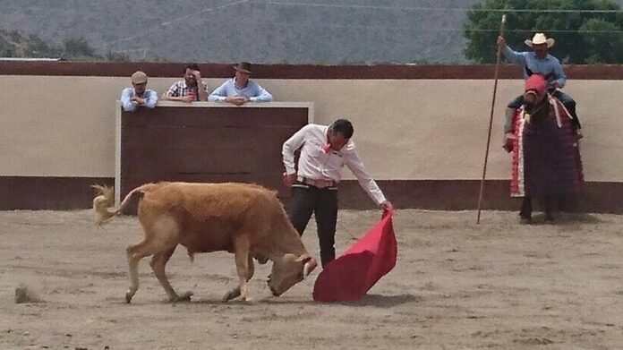 c762ec9f088d0d323af7904b6ad0d227