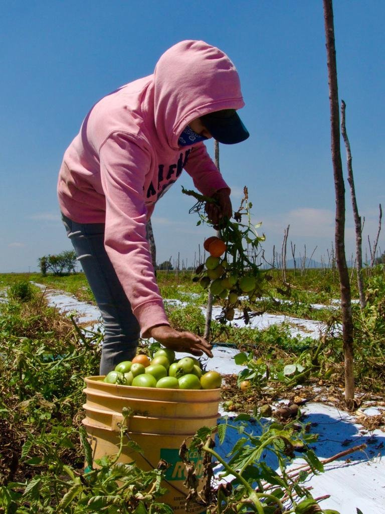 Empoderamiento de mujeres en el campo, fundamental para revertir violencia y marginación: UMFFAAC