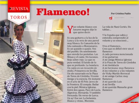 ¡Flamenco!