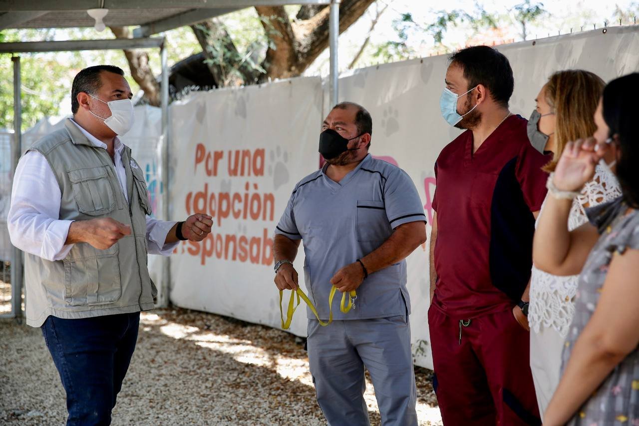 De la mano de la sociedad, el Ayuntamiento fomenta el respeto, cuidado y la armonía hacia la fauna del Municipio: Renán Barrera