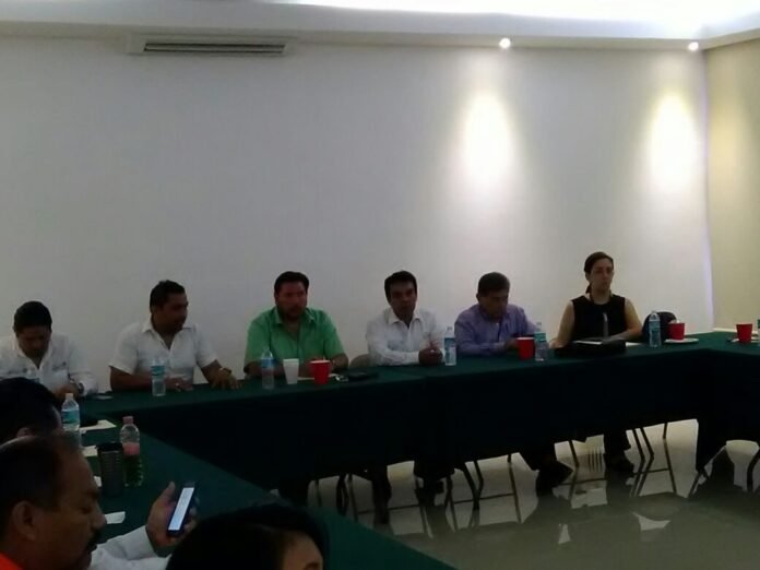 d313bf5c951f3a3c116423e8a335ab38