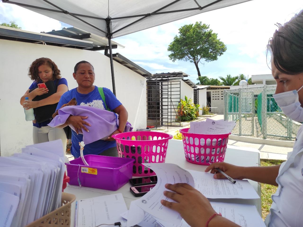 Arranca maratónica campaña gratuita de esterilización canina y felina en Cancún