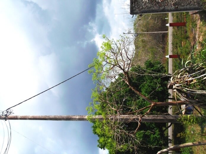 d6aaed6b08ed300bf1e3c4edf848d7dd