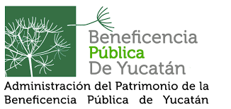 Beneficencia Pública de Yucatán en conjunto con su Homóloga Nacional apoyan a 449 personas con problemas de audición