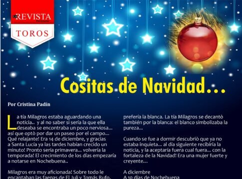 Cositas de Navidad…