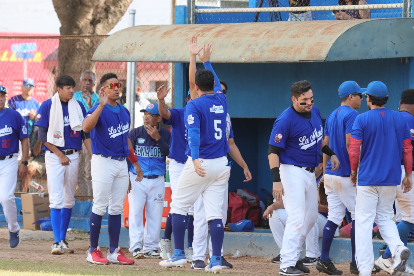 Bravos y Senadores van por el título de la LMIB