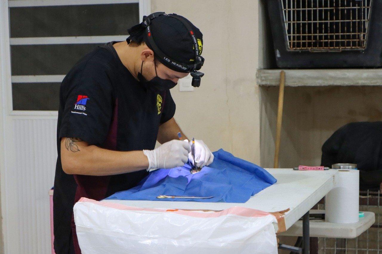 Continúan jornadas de esterilización canina y felina a bajo costo en Progreso