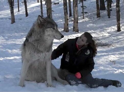 Simpatías y antipatías