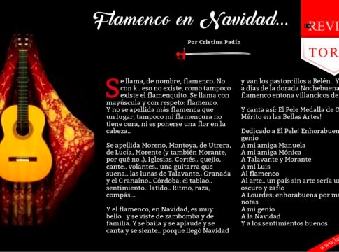 Flamenco en Navidad...